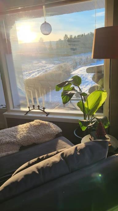 Skogro Ved Norefjell Noresund Luaran gambar