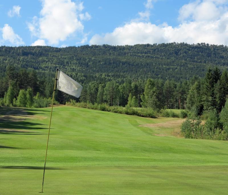 Skogro Ved Norefjell Noresund Luaran gambar